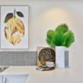 7/10 Tuesley Court, Southport, QLD 4215 AUS
