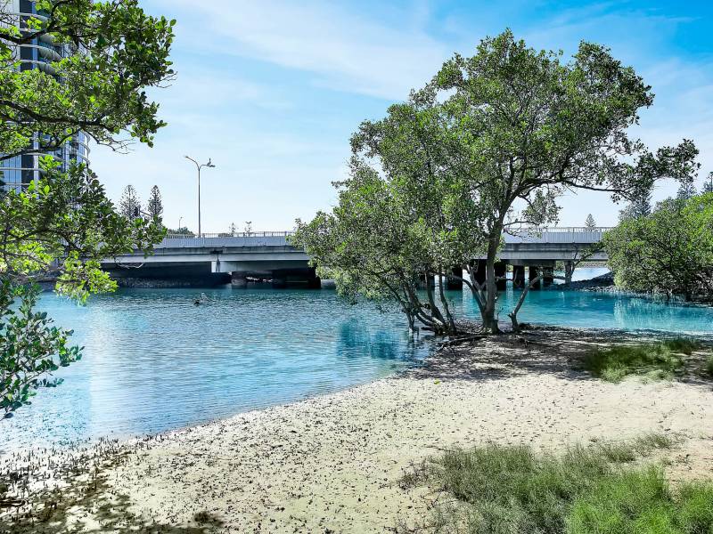 19 Gilmour Lane, Southport, QLD 4215 AUS