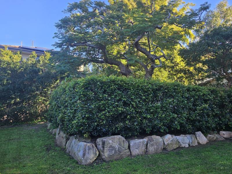 26a Harris Street, Labrador, QLD 4215 AUS